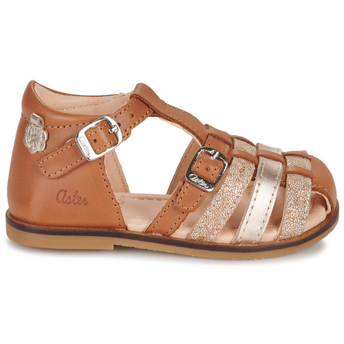 Aster - NINI - Cognac