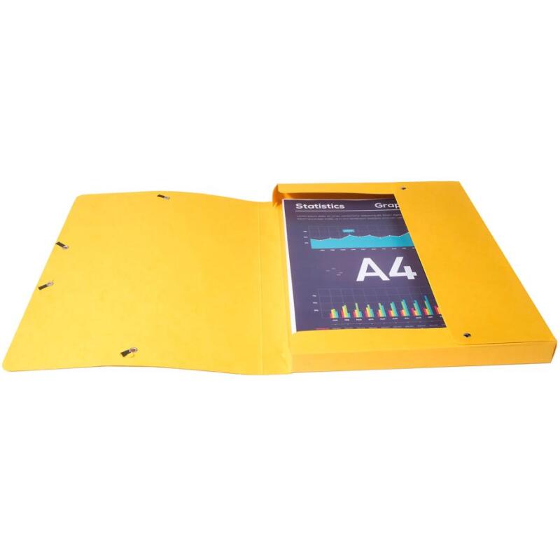 Boite de classement Exabox Dos 25mm Carte lustrée - A4
