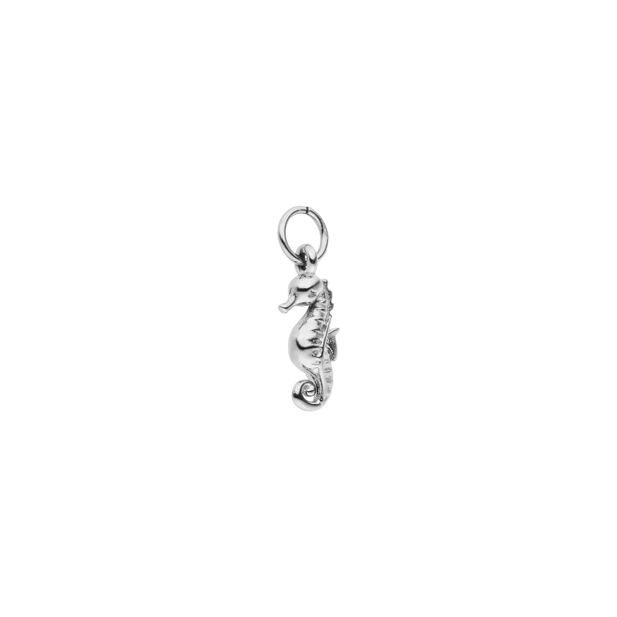 Seahorse Charm