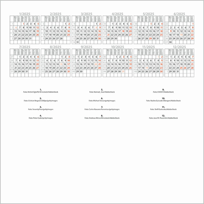 Wandkalender - 2025 - Vanlife