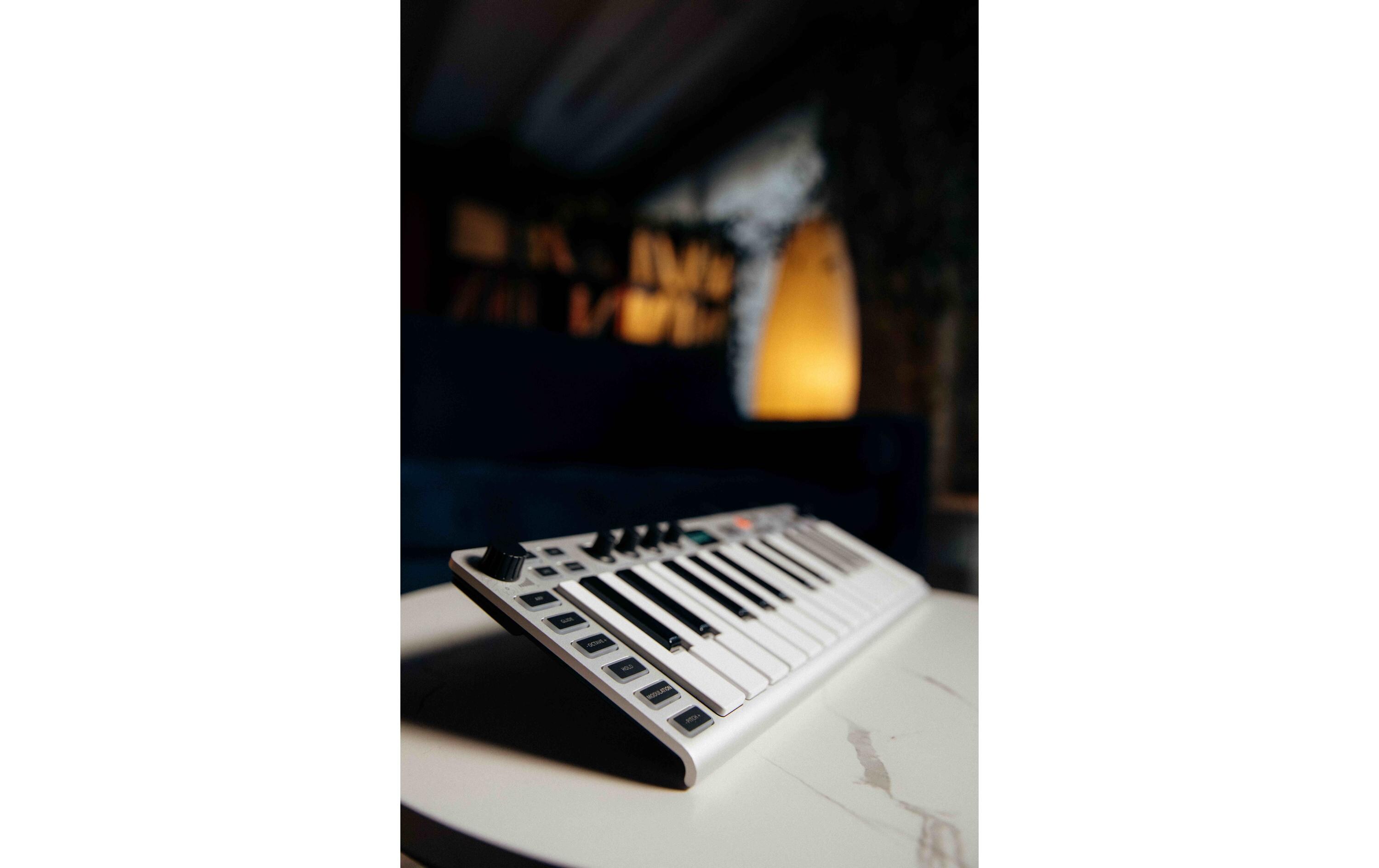 Synthesizer Xsynth<br>Virtueller analoger Synthesizer mit 25 Tasten
