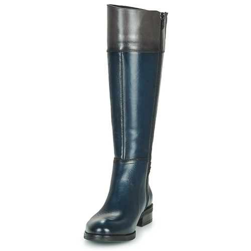 Dorking - TIERRA - Bleu / Gris