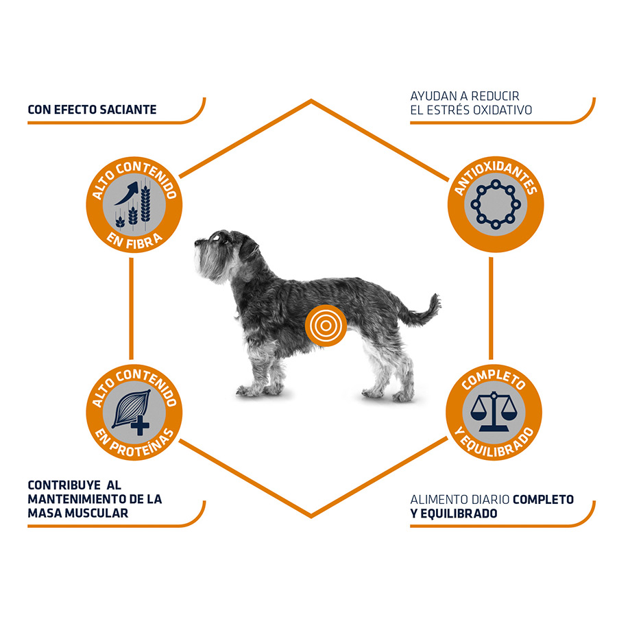 1,5 kg de ração Advance Veterinary Diets Weight Balance para cães Mini