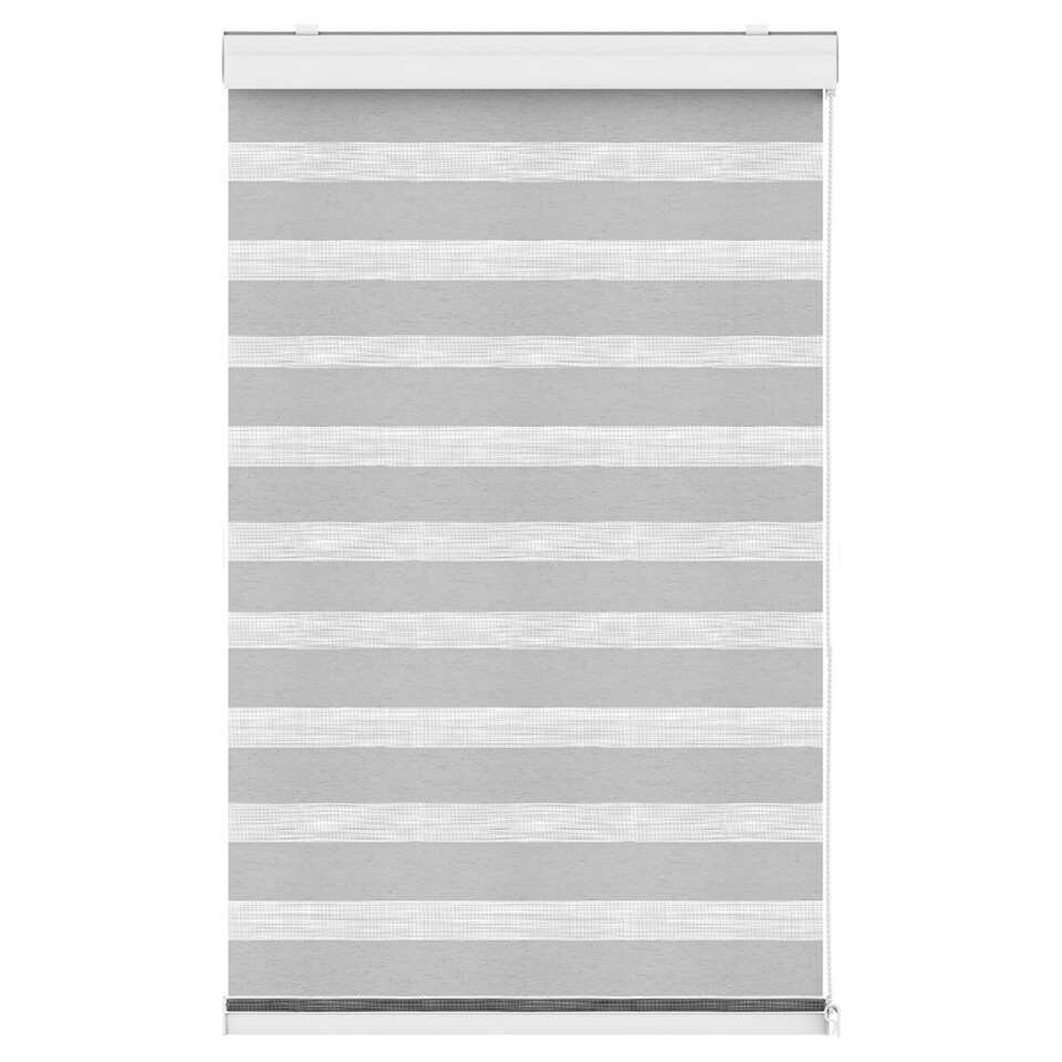 Fenstr duo-rolgordijn lichtgrijs - 140x240 cm