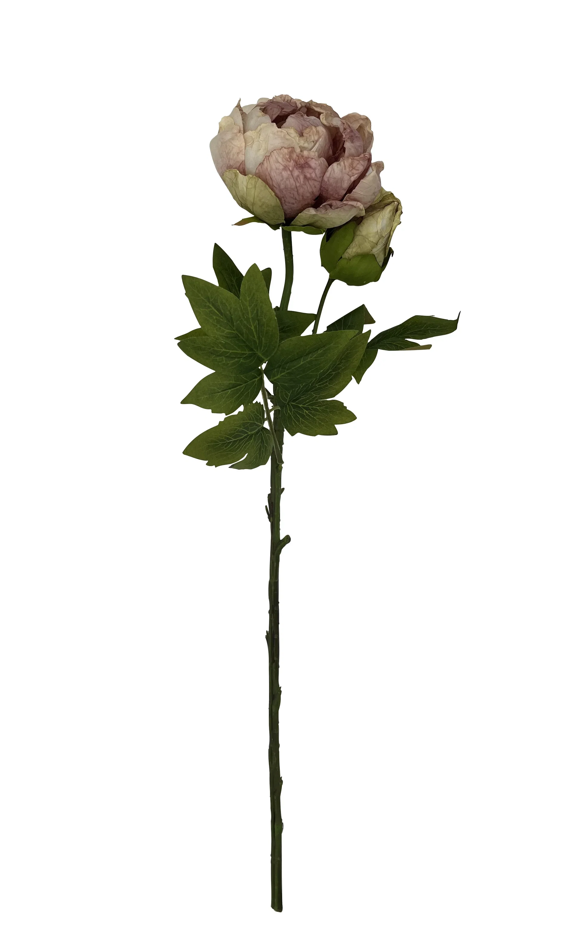 Pion snitt kunstig Høyde 62 cm