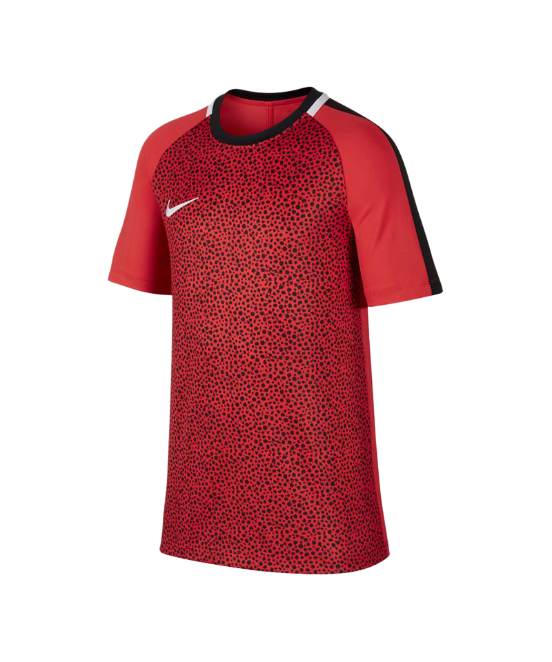 Nike Dry Academy T-Shirt GX2 Kids Rot F696
