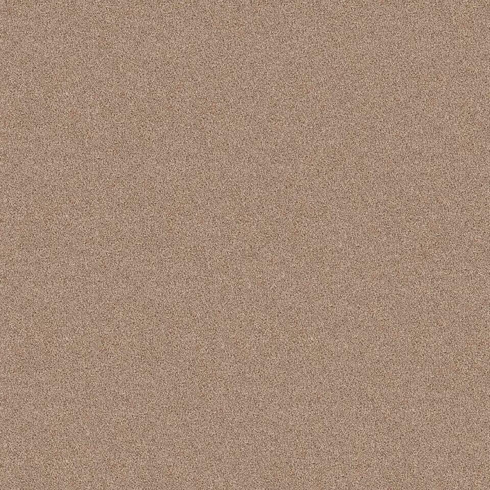 Staal Tapijt Cornell Beige