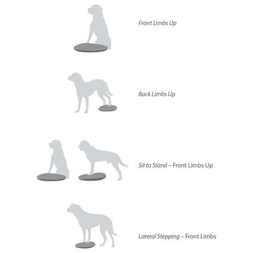 Disco de equilíbrio para animais de estimação, azul
