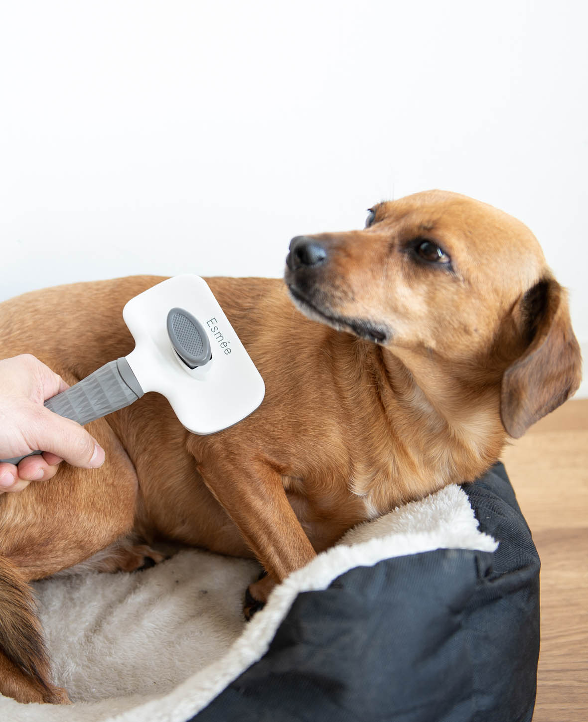 Esmée Pets - Selbstreinigende Haustier Fellbürste für Unterwolle Pflege - Grau
