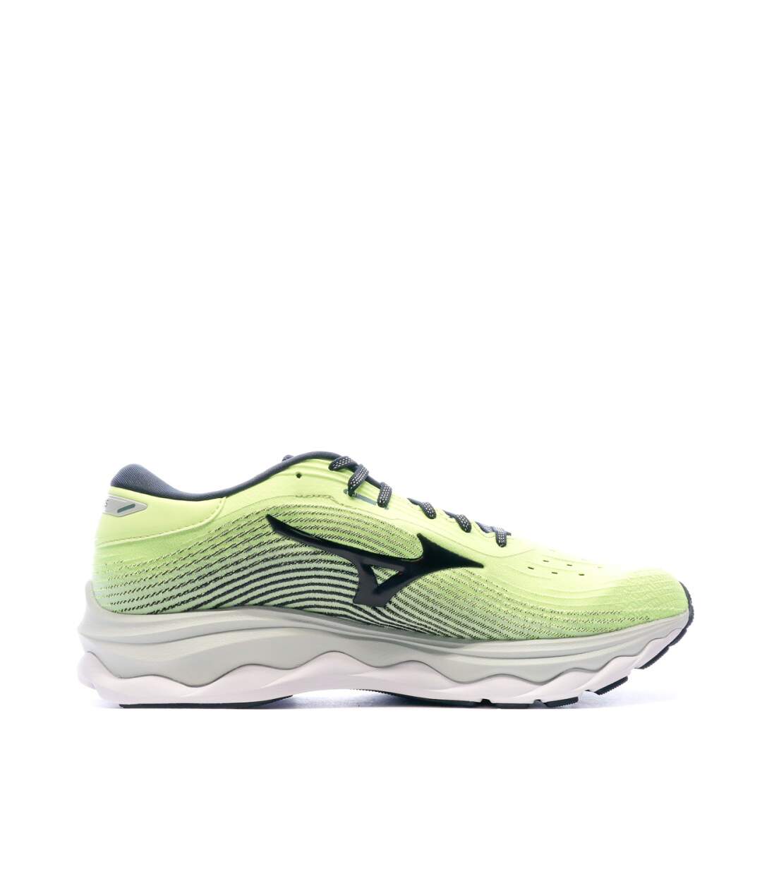 Chaussures de Running Bleu Homme Mizuno Wave Sky