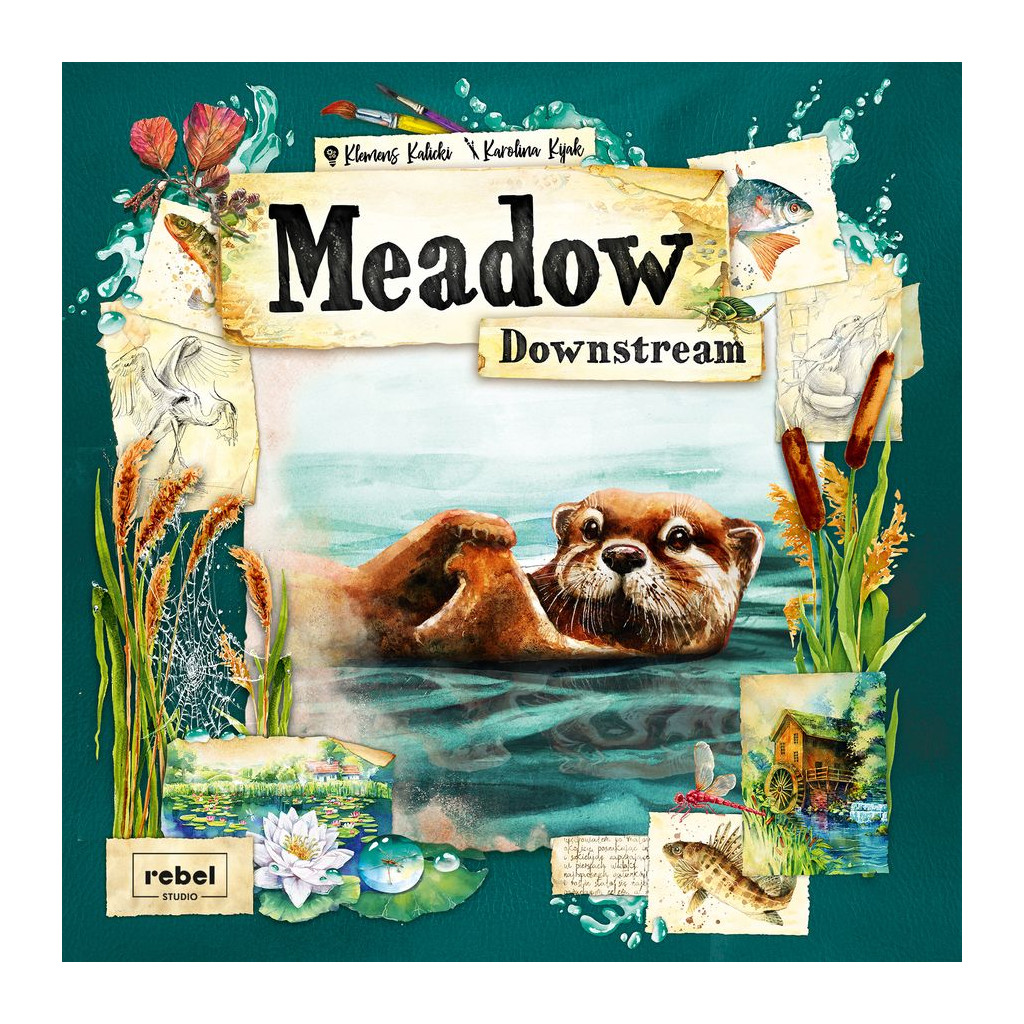 Meadow - Downstream