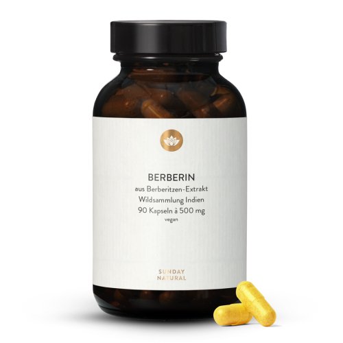 Sunday Natural Products  Berberin 500 mg Kapseln