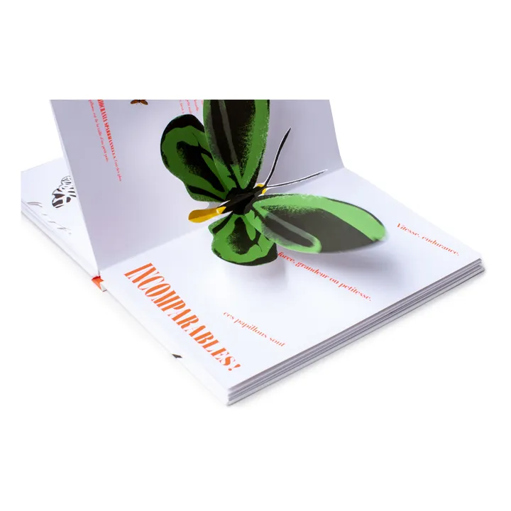 Helium Livre Papillons Illusions - B. Duisit & J. Brouant