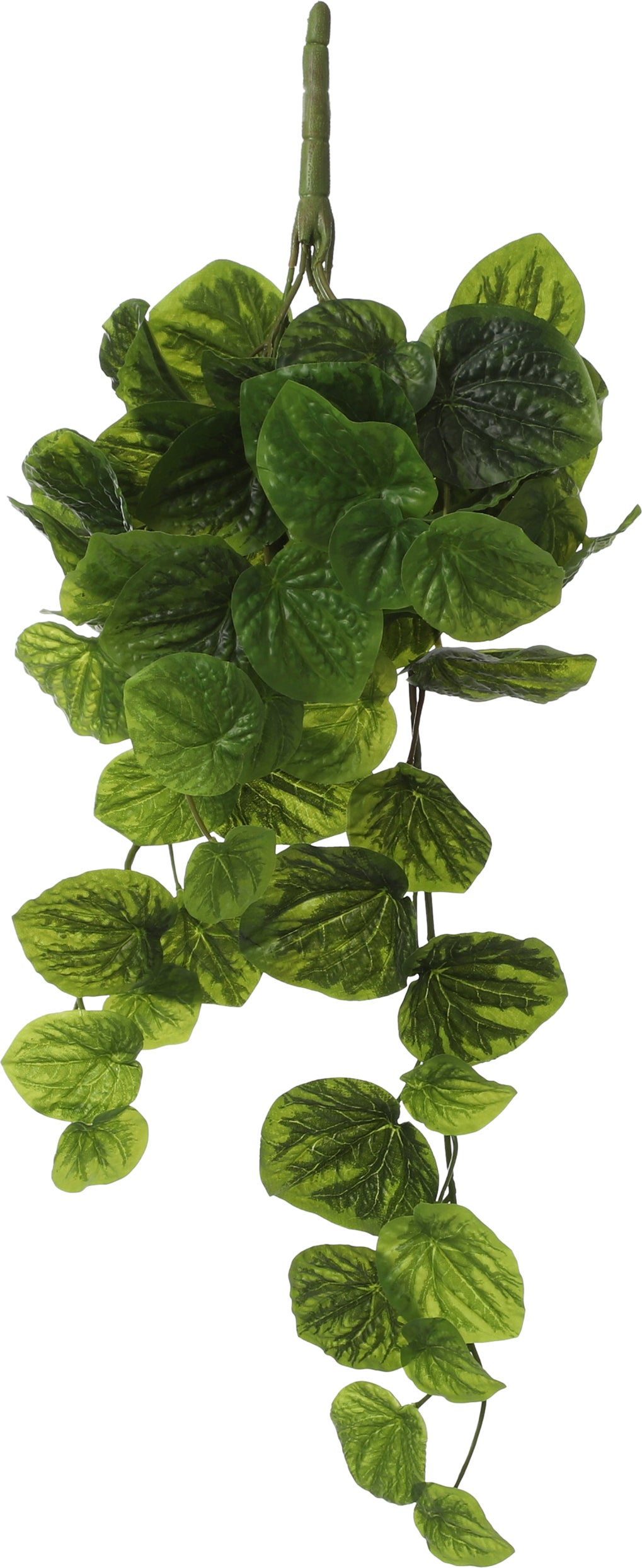 Mica Decorations kunsthangplant Peperomia 14 x 20 x 58 cm