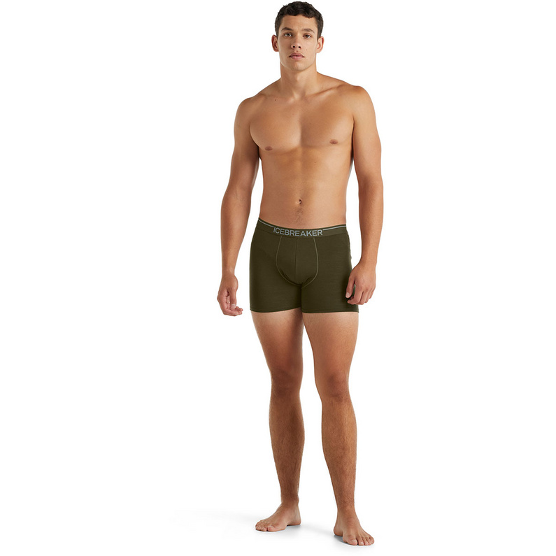 Icebreaker Herren Anatomica Weekdays Boxer