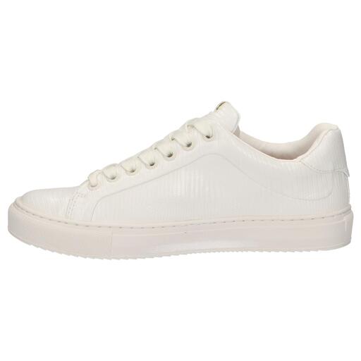Calçado esportivo Pepe Jeans Pls30852 Adams