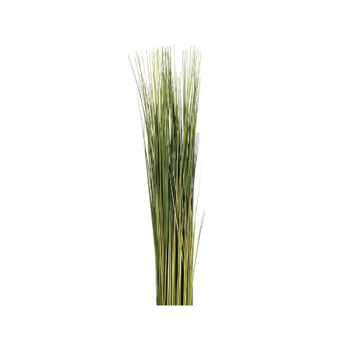 Fagot d'herbes H.79 cm - but