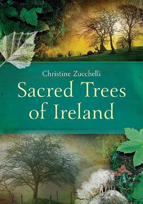 Sacred Trees of Ireland (Paperback)