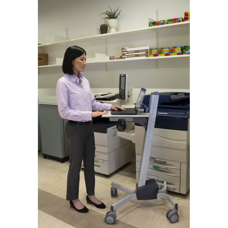 Ergotron Neo-Flex Laptop Cart Gris Ordinateur portable Panier/chariot multimédia