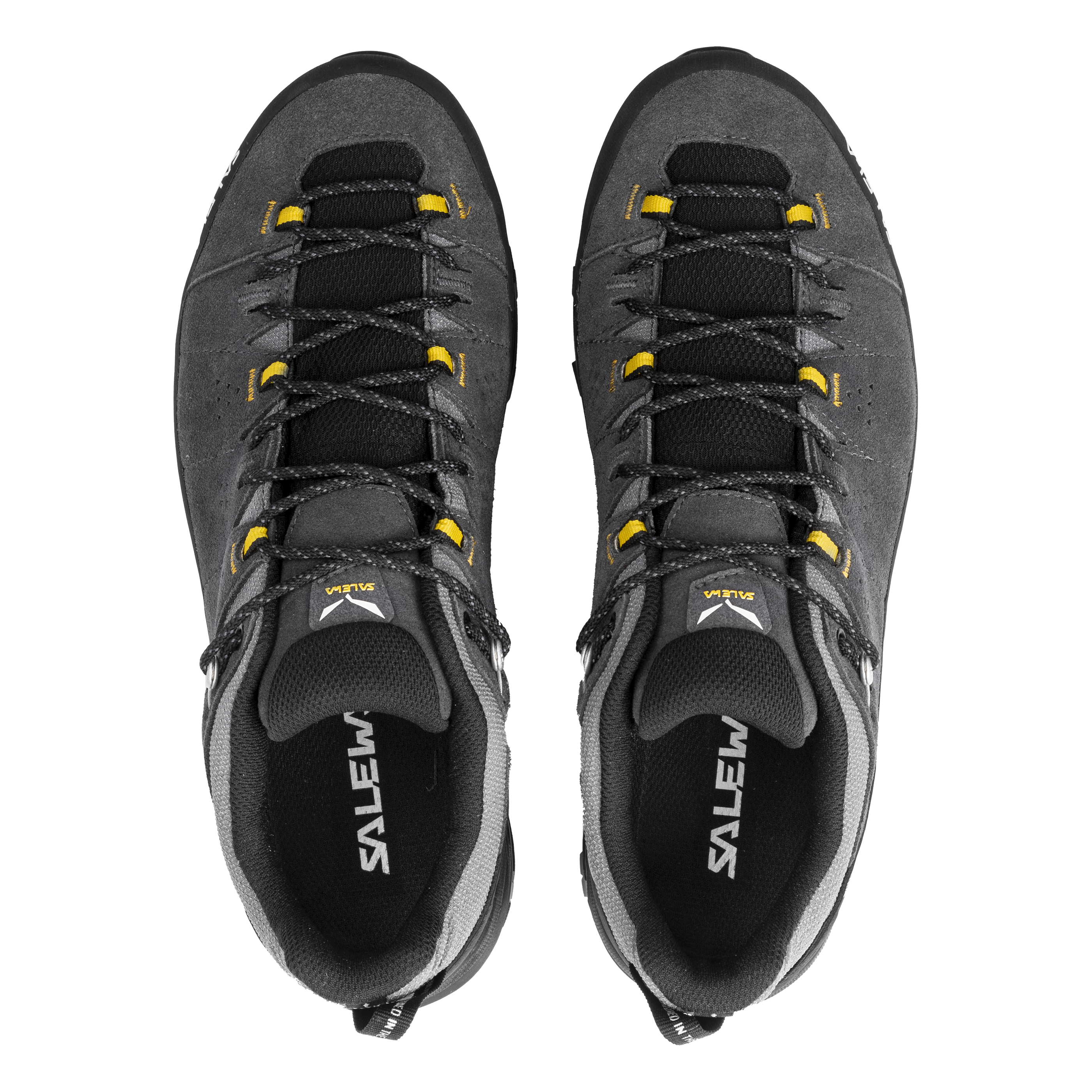 Alp Trainer 2 Gore-Tex® Schuh Herren