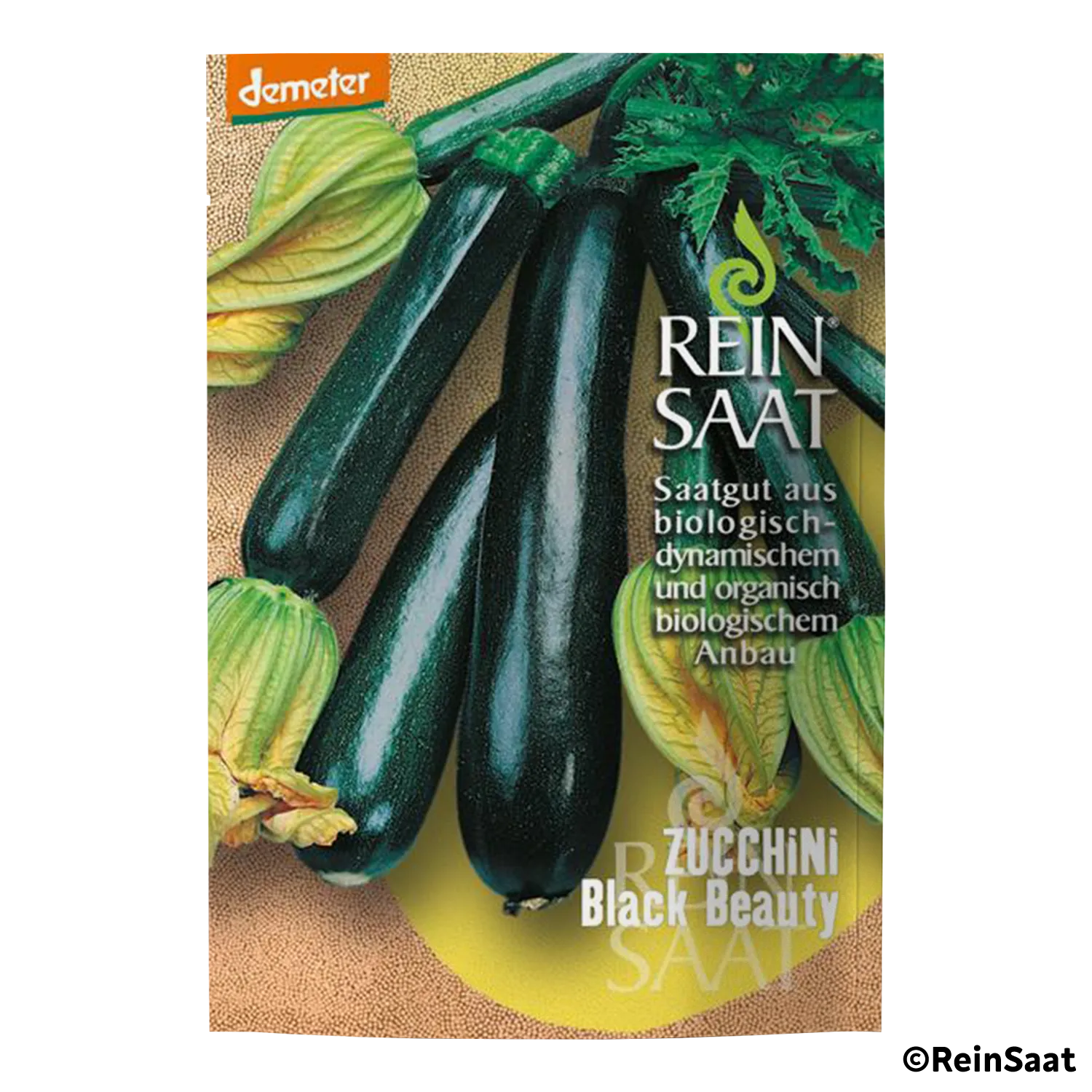 Saatgut Zucchini 