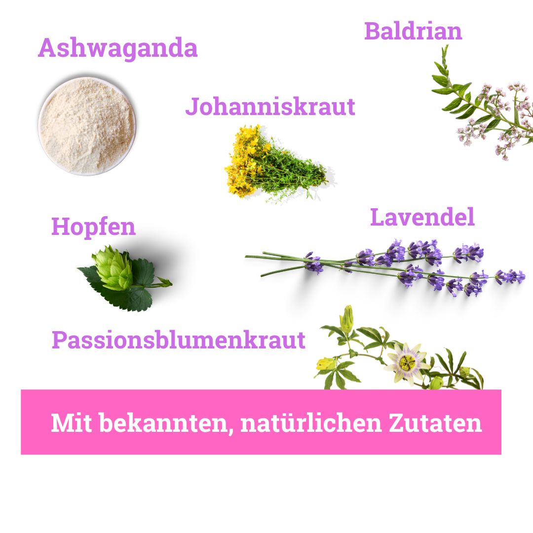 BeG Buddy STAY@HOME Relax Snack für Hunde mit Baldrian, Beruhigung, Silvester