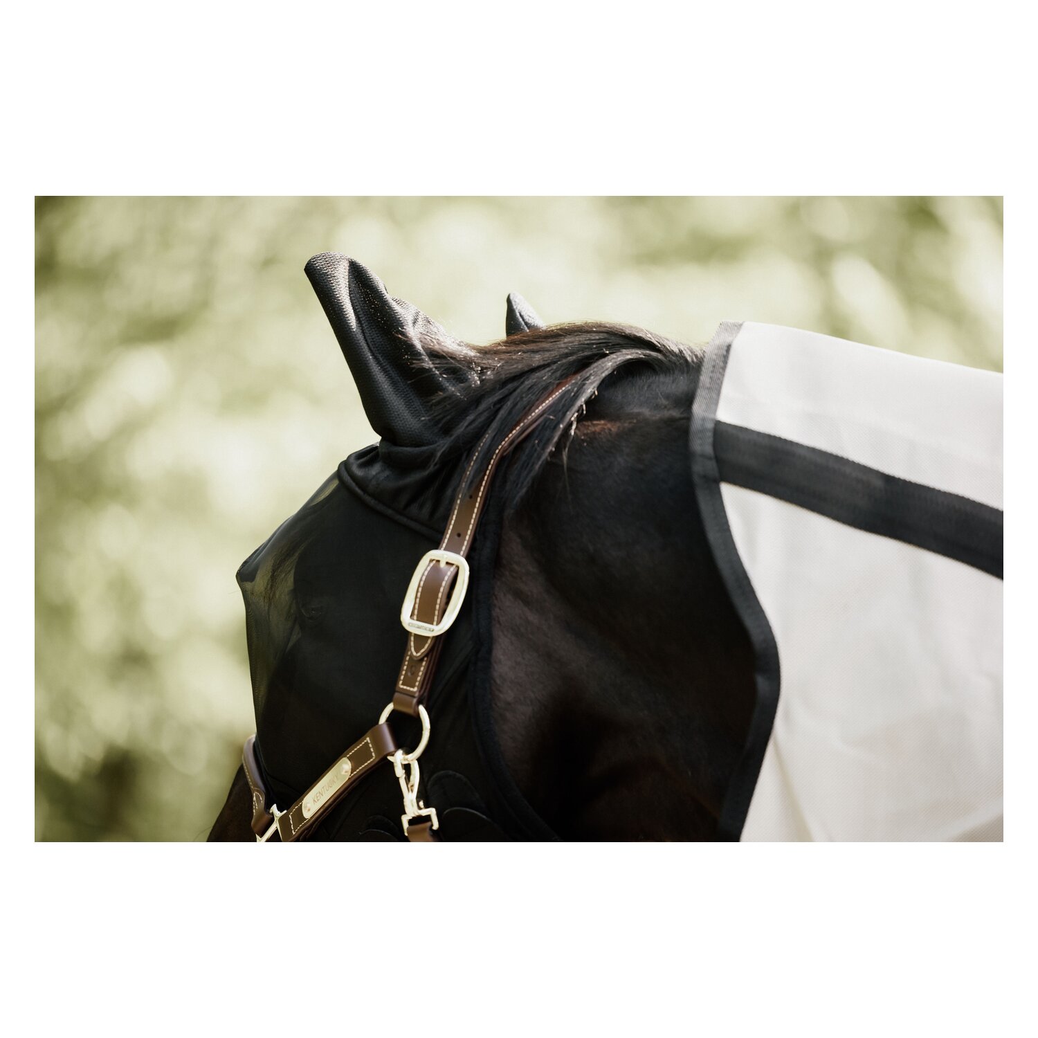 KENTUCKY Fliegenmaske Classic mit Ohren  - black