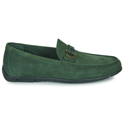 Aldo - LEANGELO - Vert