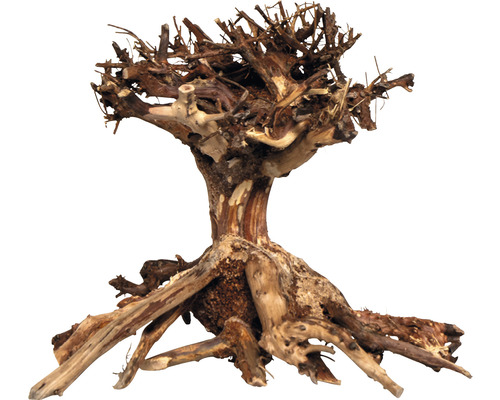 Aquariumdecoratie Mammoet Bonsai S 20 x 15 cm bruin
