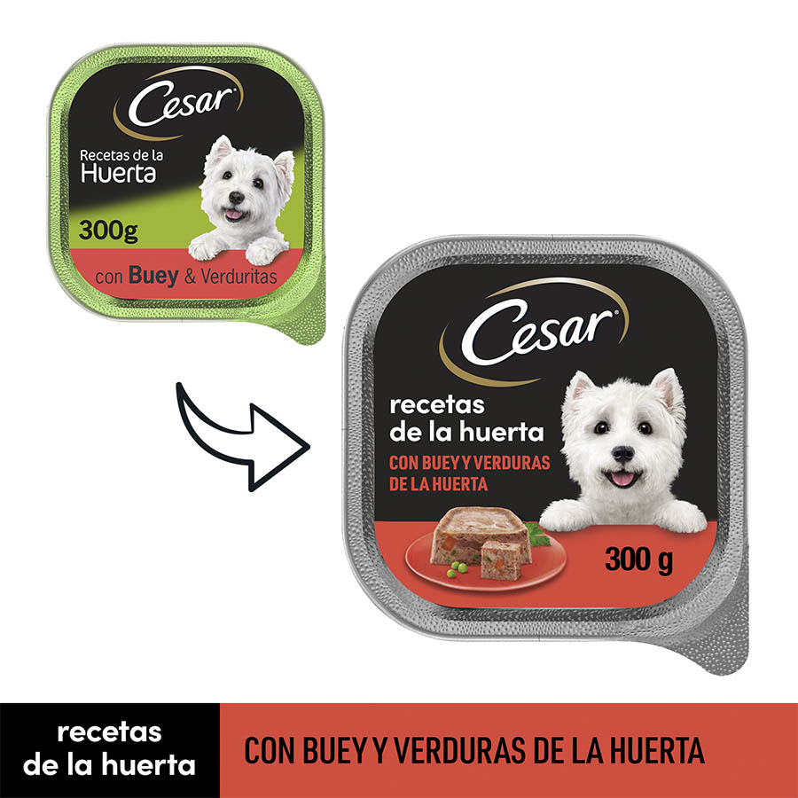 Pote de gelatina de carne e vegetais Cesar para cães