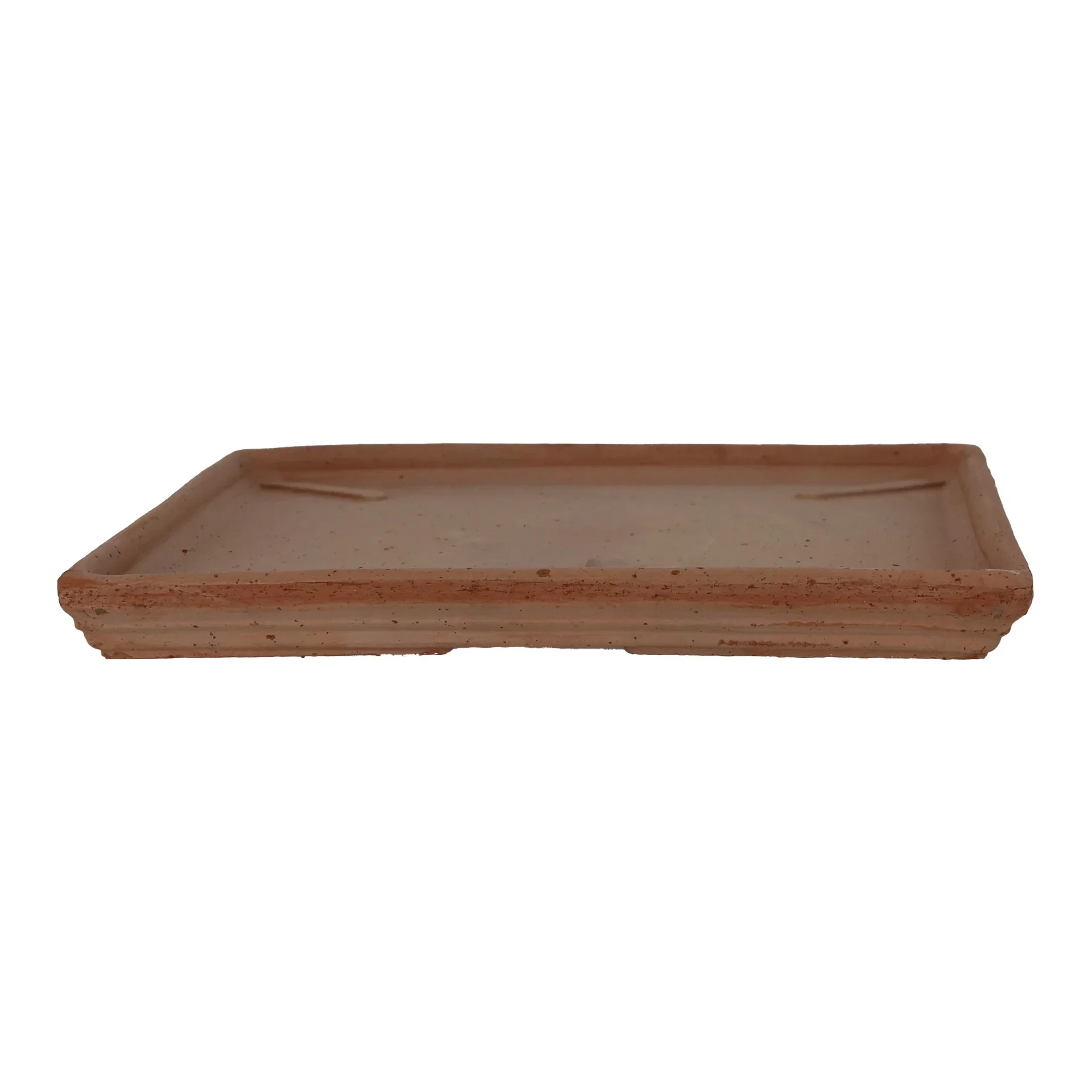 Fat Cipressi Lengde 29 cm