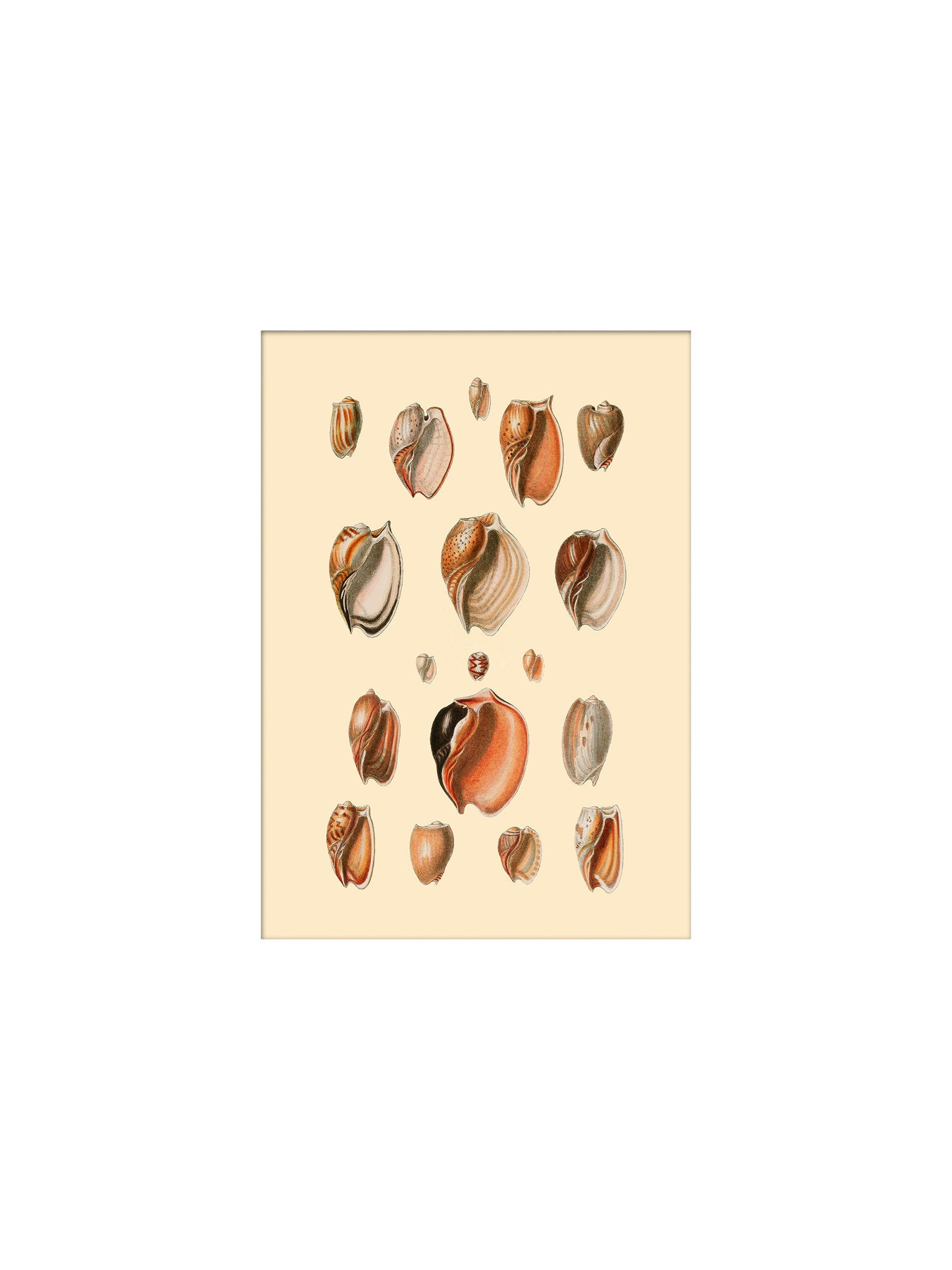 Plakat 15 x 21 | Papir. 15 x 21 cm.  | Multi | The Dybdahl Co.