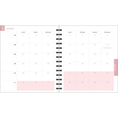 Exacompta Dodo & Cath Lady - Agenda 2025 - semainier - reliure à anneaux métalliques - 18 W - 150 x 170 mm - blanc - heure - carton