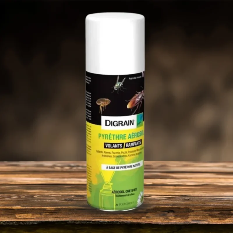 LODI - Aérosol insecticide - 200ml