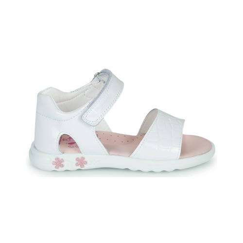 Pablosky - TAVID - Blanc