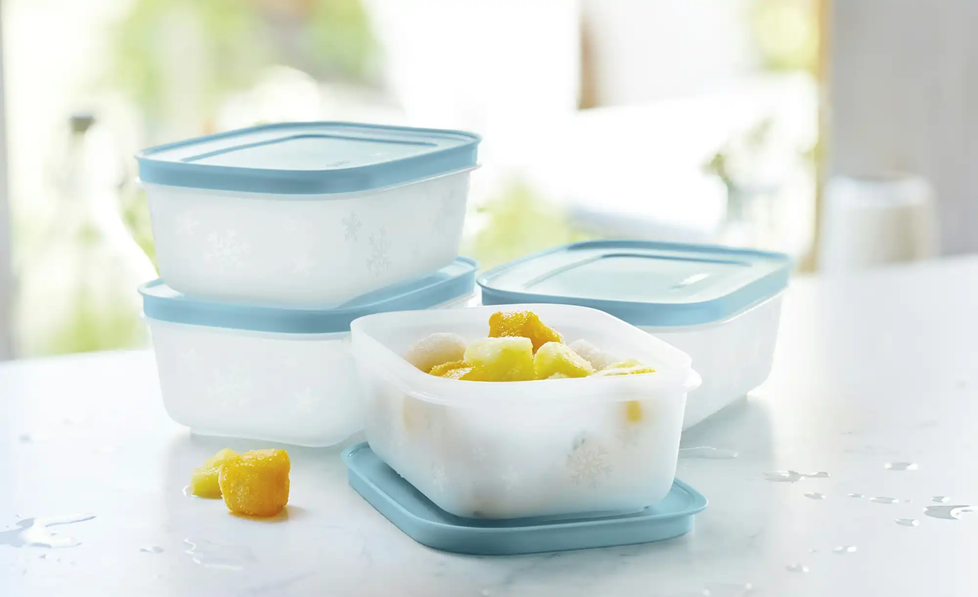 Tupperware Gefrierdosen-Set  4 x 450 ml