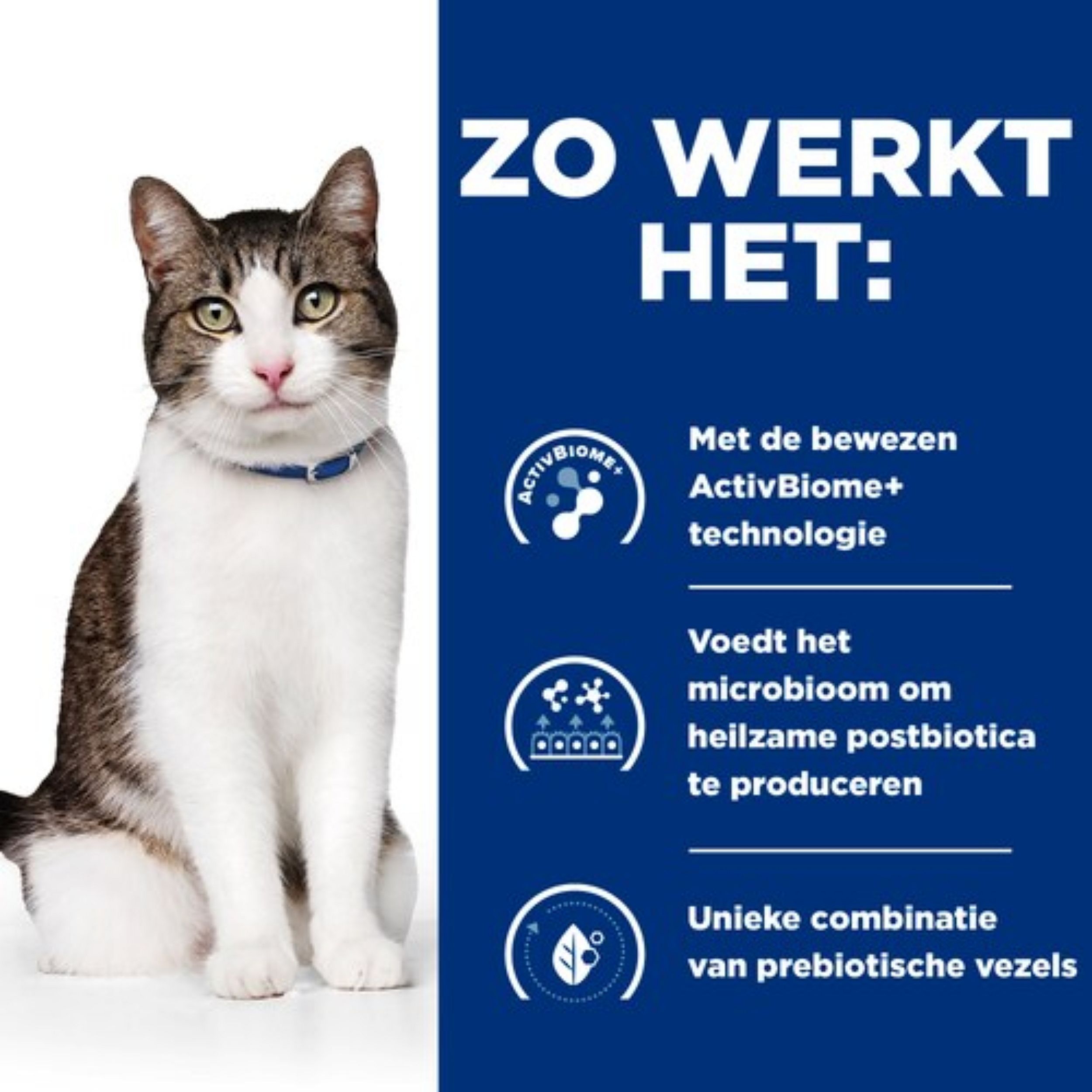 Hills Prescription Diet Gastrointestinal Biome Stress Kattenvoer | 3 kg | 20021.3