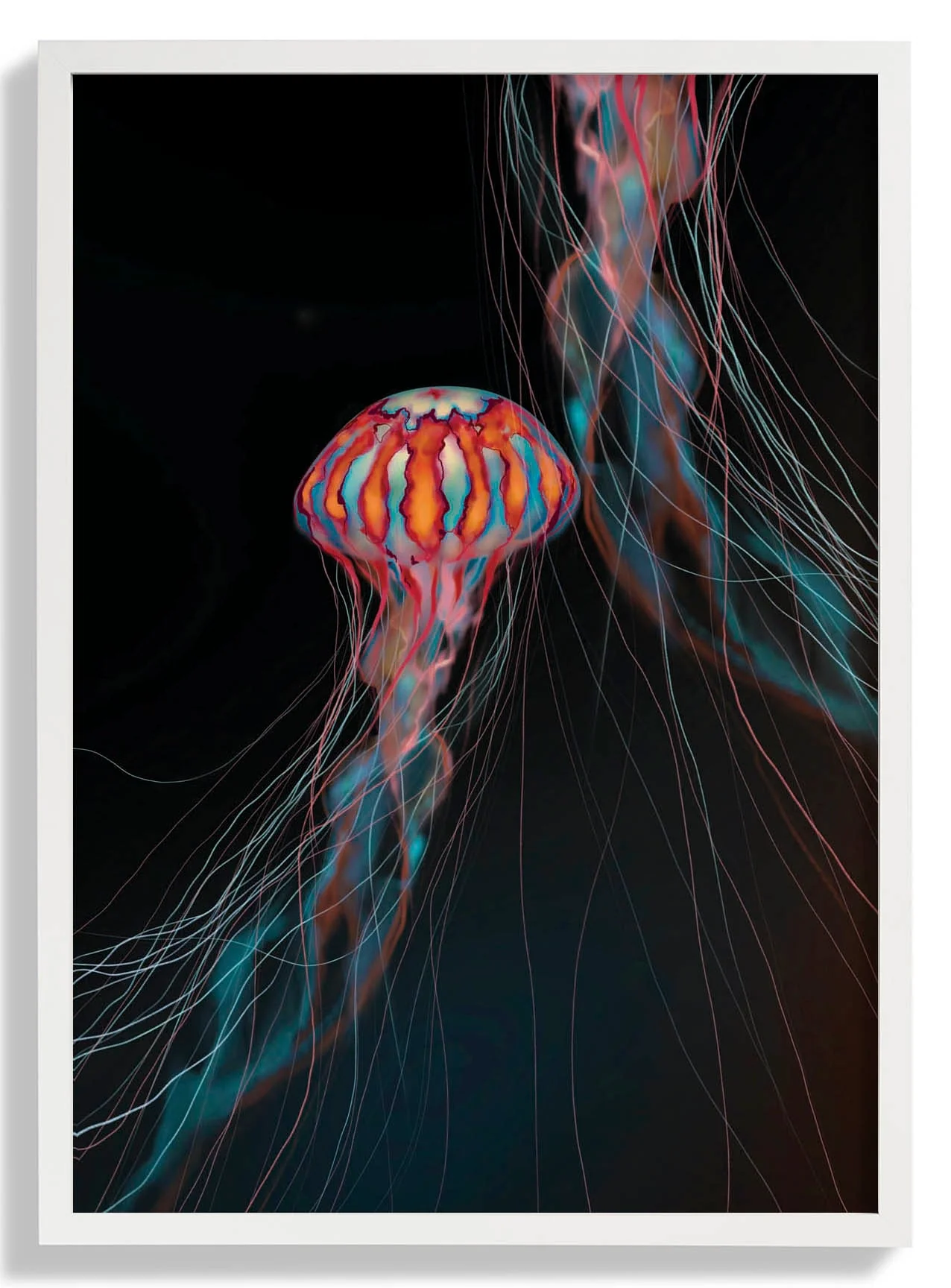 Universum Geist Qualle von Julia Charlott