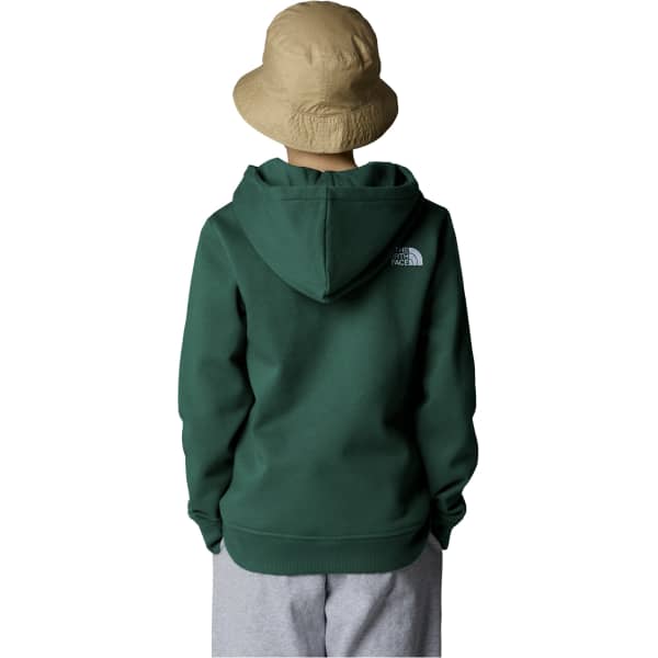Sweatshirt THE NORTH FACE B DREW PEAK P/O HOODIE EVERGREEN