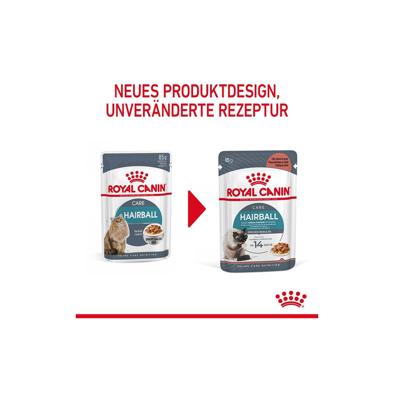 ROYAL CANIN Care Hairball Adult in Soße 12x85 g