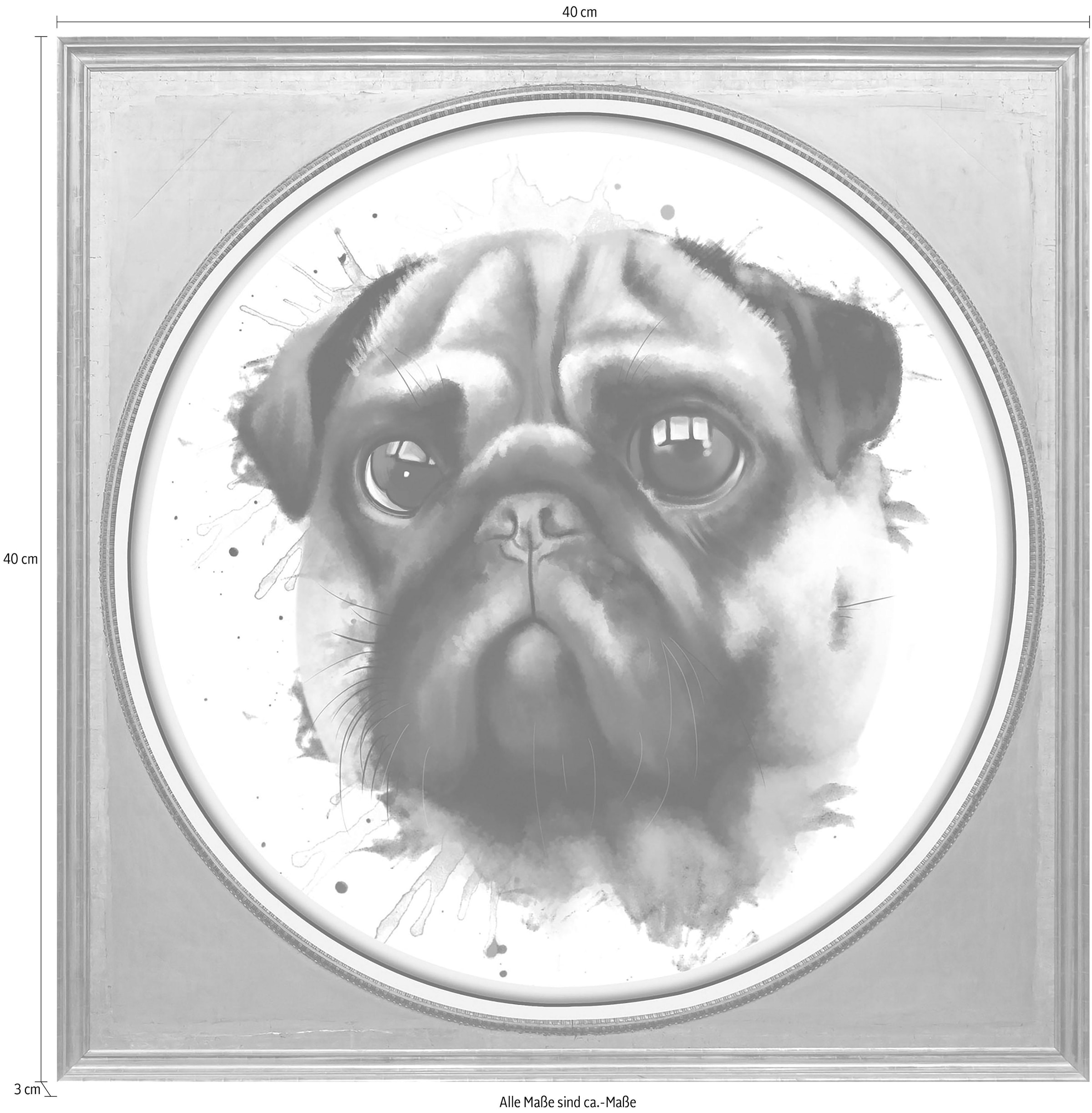 queence Acrylglasbild »Mops« Gemälde | Haustiere | Hund | Hunde | Hundebilder | Kunst | Tiere Fine Art-Print in Galeriequalität