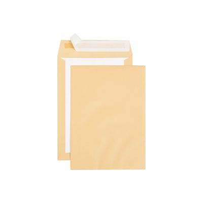 GPV Pack'n Post - 100 Pochettes kraft dos carton - C4 229 x 324 mm - 120 gr - bande auto-adhésive