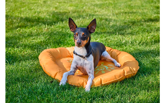 Wolters Summerly Kühlmatte für Hunde