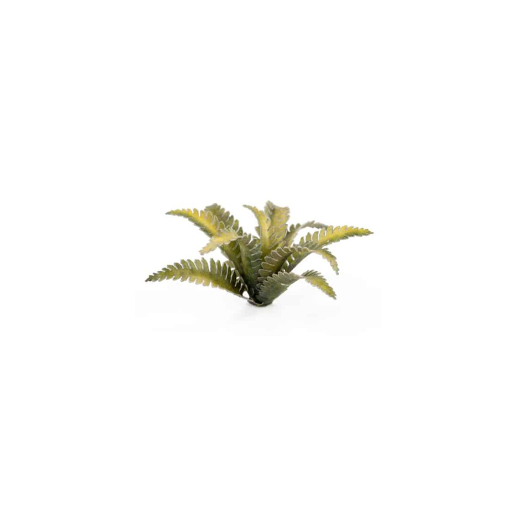 Laser Plants - Deer Fern