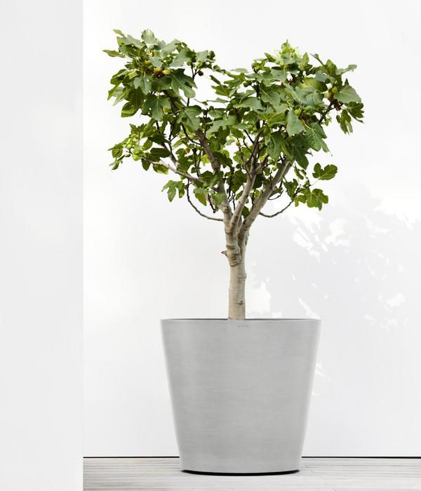 Ecopots Kunststoff-Topf Amsterdam mit Rollen,