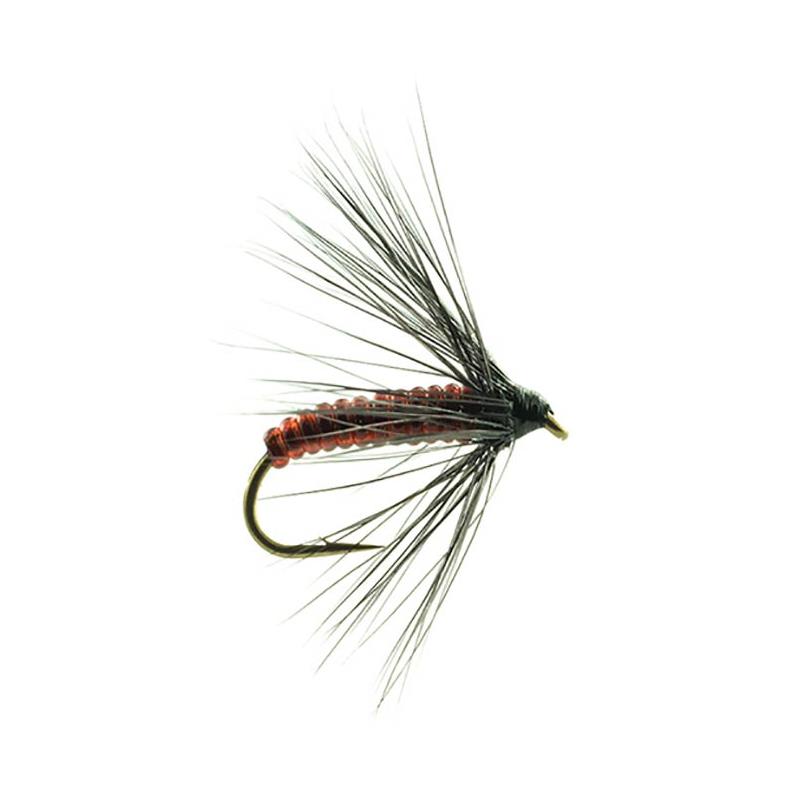 Mouche Devaux Noyee Jbno 03