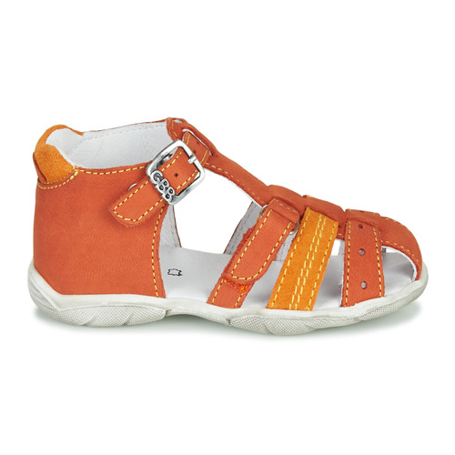 GBB - ARIGO - Orange