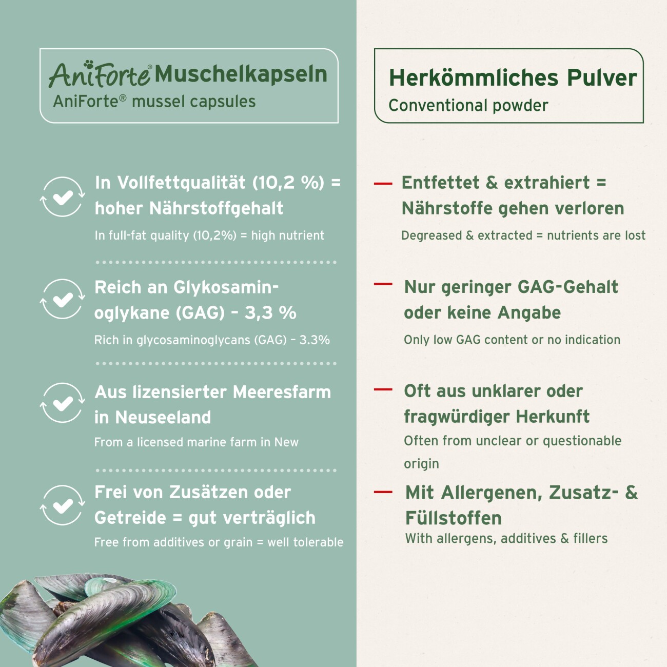 AniForte Grünlippmuschel Kapseln 100 Stk