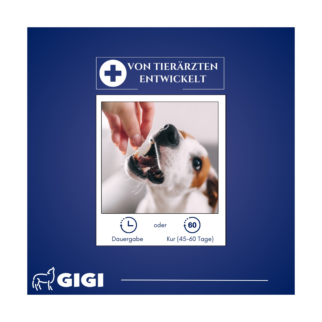 GIGI VET Haut & Fell Für Hunde und Katzen 21 Stück