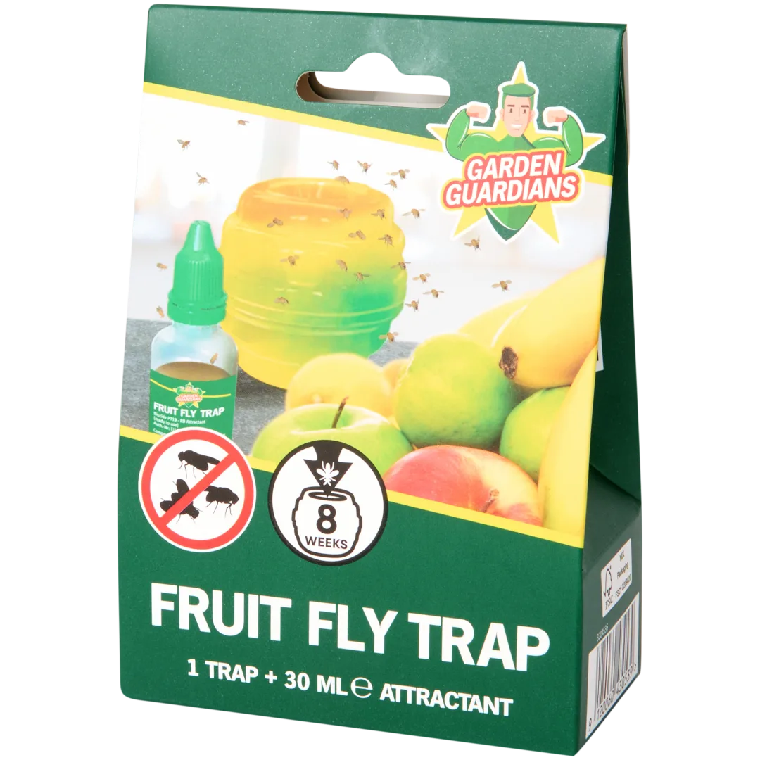 Piège à mouches à fruits